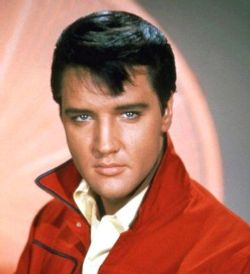 Snygg ELvis